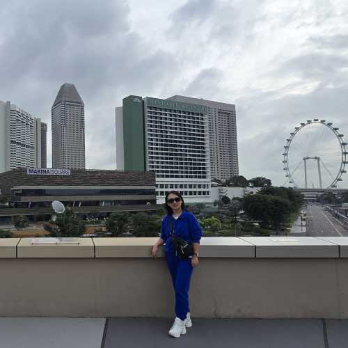 Skyline Serenity: A Vibrant Encounter