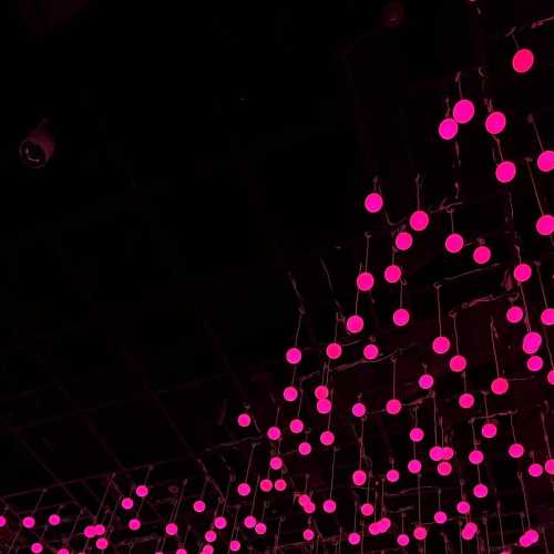 Where Light Becomes Art: An Illuminated Haven