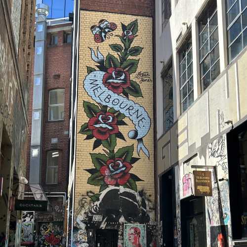 The Artistic Heart of Melbourne's Streets