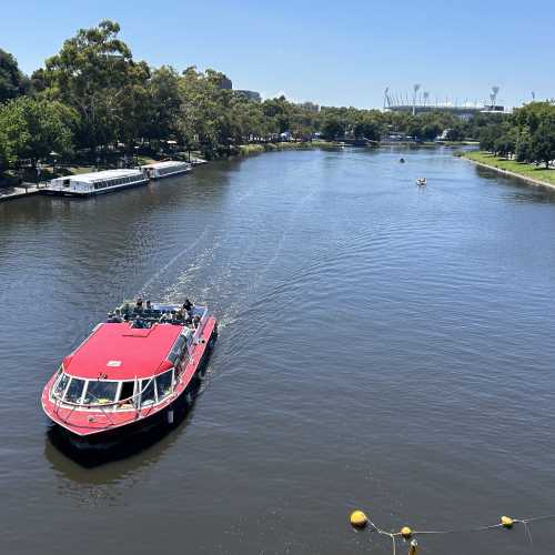 Cruising the Calm: A River Adventure
