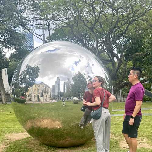 Embracing Reflection: A Dance with Silver