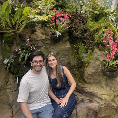 Enchanted Garden Escape