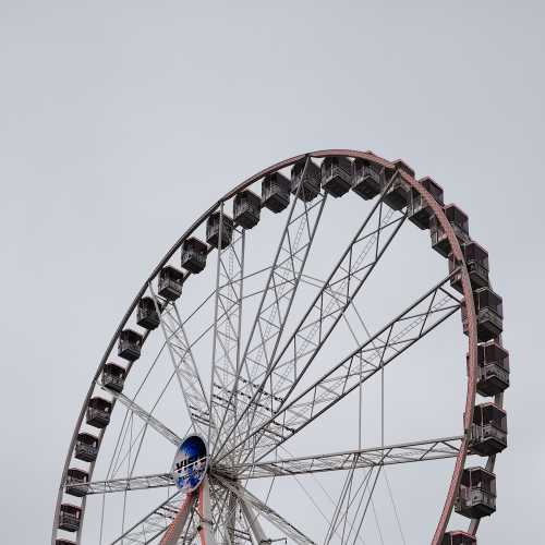 Skyward Dreams: The Ferris Wheel's Embrace