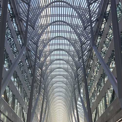 A Stroll Through the Modern Cathedral