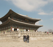 Full day In Seoul with a local