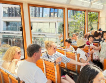 Sunny Tram Adventure