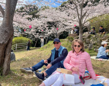 Springtime Serenity Under Blossoming Skies