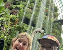 Delighted Wanderers Amidst Waterfalls