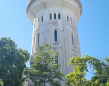 Towering Elegance Under a Blue Sky