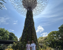 A Stroll Beneath Nature’s Marvel