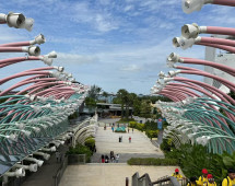 Enchanted Pathway to the Sea