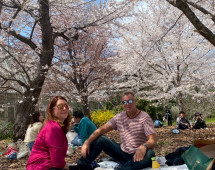 Blossom Moments: A Spring Picnic Under Cherry Trees