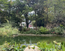 Urban Oasis: A Hidden Gem Amidst the Skyscrapers