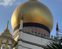 Golden Serenity: Where Earth Meets Sky