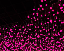 Where Light Becomes Art: An Illuminated Haven