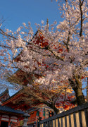 Top Things to Do in Kyoto: The Moments That Moved Me Most, And Why They Still Matter