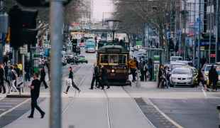 Full day in Melbourne with a local