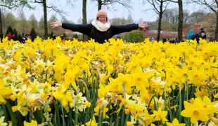 Explore Keukenhof, the garden of Europe