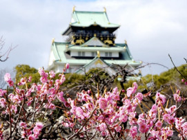 Things to do in Osaka During the Rugby World Cup 2019