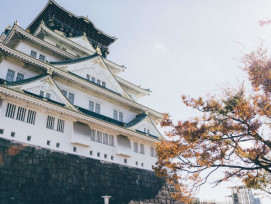 The Best Things to do in Osaka in the Fall