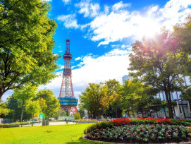 The Best Things to do in Sapporo in Summer 2021