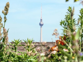 What To Do In Berlin This Summer - Things To Do In June