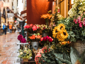 Things To Do In Spring In Bologna