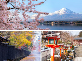 Top 10 things to do in Tokyo in Winter