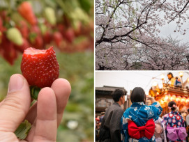 Spring in Tokyo: The ultimate experience of cherry blos