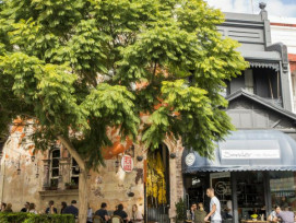 Paddington and Surry Hills Paddington and Surry Hills