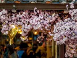 What to expect in spring What to expect in spring