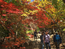 Things to do in fall Things to do in fall