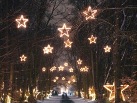 Get lost in Berlin’s Christmas Garden Get lost in Berlin’s Christmas Garden