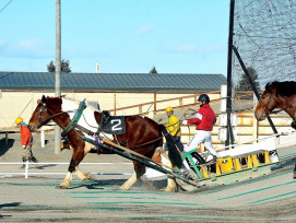 Witness the Hokkaido Banei Horse Racing Witness the Hokkaido Banei Horse Racing