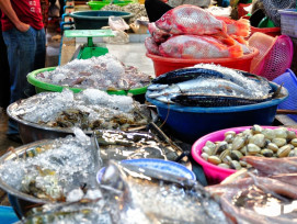 Fischmarkt Fischmarkt