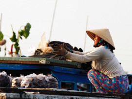 Thonburi Thonburi