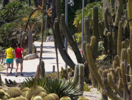 Mossèn Costa I Llobera Cactus Garden Mossèn Costa I Llobera Cactus Garden