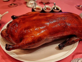 Spring Deer for Peking duck Spring Deer for Peking duck