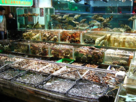 Fresh Seafood at Chuen Kee Seafood Restaurant Fresh Seafood at Chuen Kee Seafood Restaurant