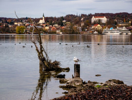 Starnberg Starnberg