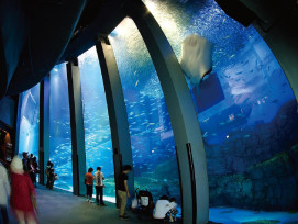 Adventure at Yokohama Hakkeijima Paradise Adventure at Yokohama Hakkeijima Paradise