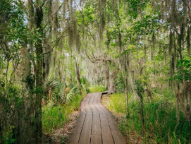 Jean Lafitte National Historical ParkJean Lafitte Natio Jean Lafitte National Historical ParkJean Lafitte Natio