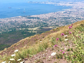 Mt. Vesuvius Mt. Vesuvius