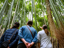 Day trips from Tokyo: Nature