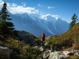 Explore Japan's hiking trails