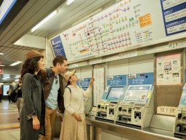 Transport for the most popular day trips