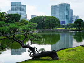 City Unscripted article image City Unscripted article image