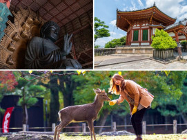 Explore Nara