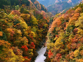 Chichibu Saitama prefecture with autumn colors Chichibu Saitama prefecture with autumn colors