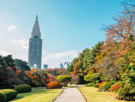 Private Tokyo tours allow you to explore more Private Tokyo tours allow you to explore more